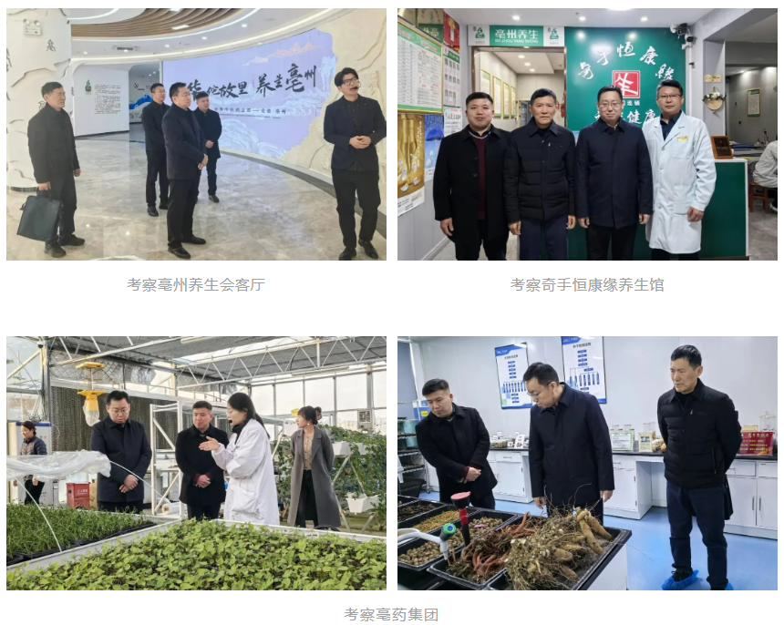 1765852001693738.png 1765852001693738.png