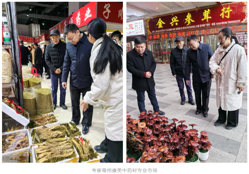 1765852026980912.png 1765852026980912.png